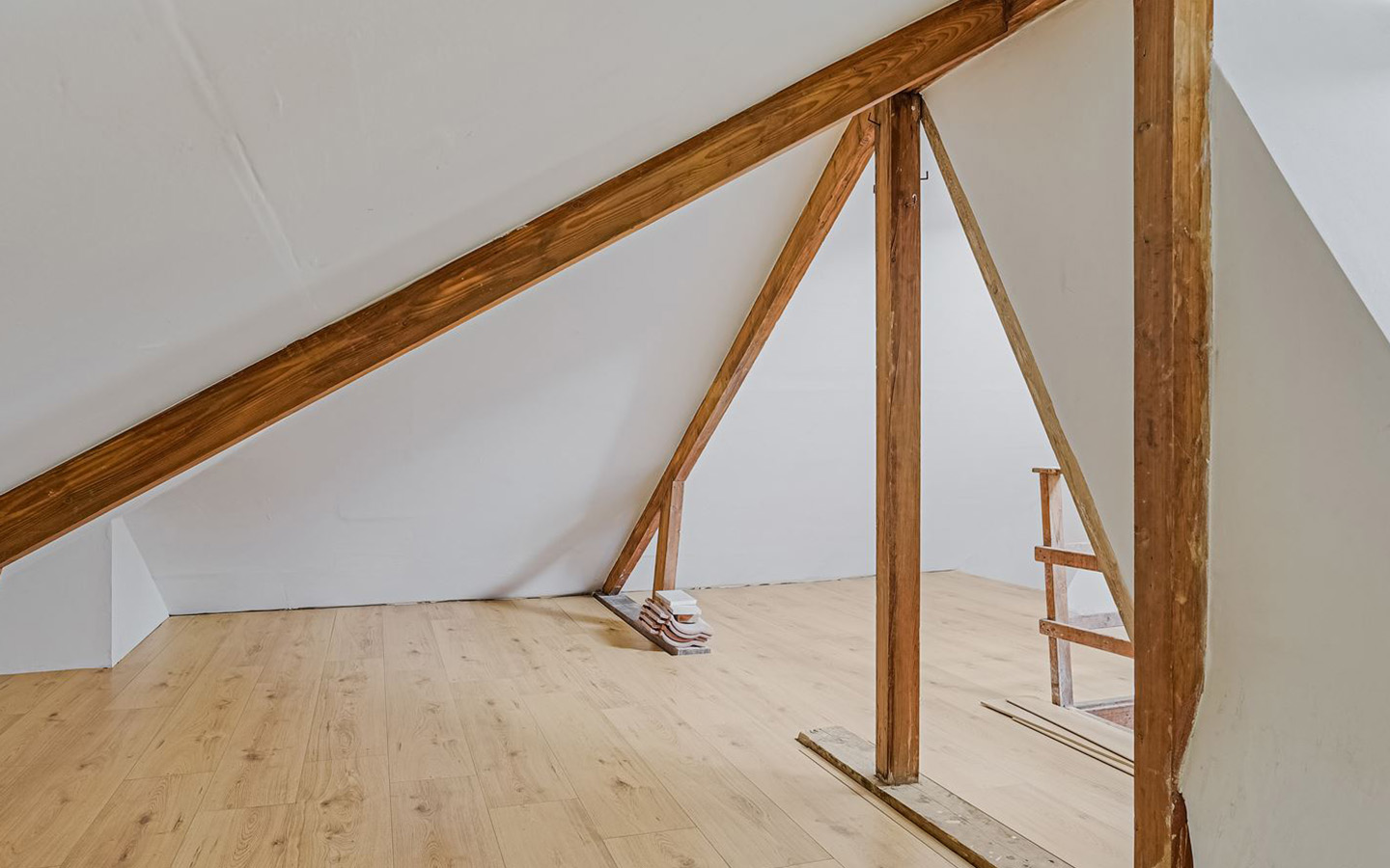 Project Leiden foto 6